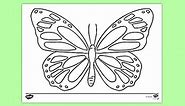 Large Butterfly Colouring Sheet