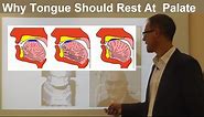 Should Tongue Rest/ Touch at the Palate/ Maxilla/ Roof of the Mouth By Dr Mike Mew
