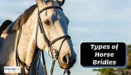 Types of Horse Bridles: Complete Guide from an Expert Rider