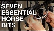 Seven Essential Horse Bits
