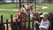 Australia Zoo, Zoo Keeper for a Day