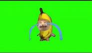 Banana cat crying green screen meme template