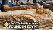Egypt: 'Possibly the oldest, most complete' 4,300-year-old mummy found | English News | WION
