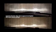 Sylvania Silverstar Ultra vs OEM Headlight Comparison Video ✔