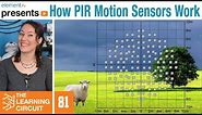 How PIR Motion Sensors Work - The Learning Circuit