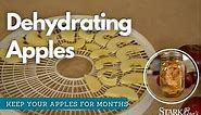 Dehydrate Apples for Long Term Apple Storage