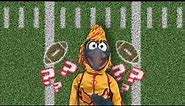 Gonzo's Big Game Message | The Muppets