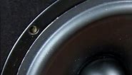 Microlab mid bass speaker
