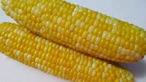 Boiled CORN ON THE COB in 15 minutes - How to boil perfect CORN ON THE COB demonstration