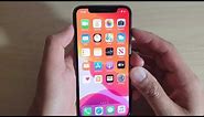 iPhone 11 Pro: How to Enable / Disable Vibrate on Ring In Sounds & Haptics