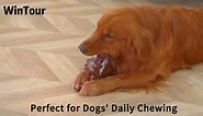 Dog Chew Toys for Aggressive Chewers, Tough Dog Toys for Aggressive Chewers Large Breed, Indestructible Dog Toys for Large Dogs, Durable Dog Toys, Heavy Duty Dog Toy for Chewers
