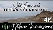 Escape to Denmark's West Coast: Ocean Sounds, Rugged Coastline and Stunning Dunes | 4K Nature Film