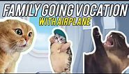 CAT MEMES: FUNNY FAMILY GOING VOCATION+WITH AIRPLANE