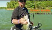 Fishing a Big 10-Inch Worm for Summer Bass