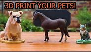 You Can 3D Print Your Pet in HIGH DETAILED COLOR?!