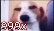 sus dog but 999x speed meme