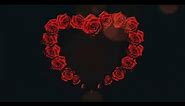 RED ROSE FLOWER BLOOM WITH HEART SHAPE || ROMANTIC LOVE MOTION BACKGROUND || COPYRIGHT FREE VIDEO