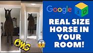 See if you can fit a REAL SIZE horse in your room (Google 3D view)