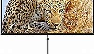 Portable Projector Screen with Stand, Outdoor Movie Screen, 80 Inch 16:9 Light-Weight, Mobile and Compact, Easy Setup and Carrying, Projection Screen with 1.2 Gain Glass Fiber, Idea for Home Cinema
