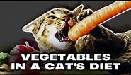 Vegetables in a Cat's Diet: Considerations and Benefits