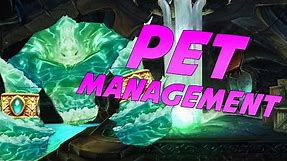 Frost Mage Pet Management Tutorial - World of Warcraft