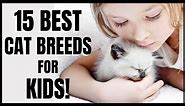 Cats 101 : 15 Best Cat Breeds for Kids