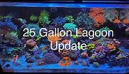 Nano Reef Tank Update Tour! Innovative marine 25 gallon lagoon saltwater aquarium! Tons of coral!!!!
