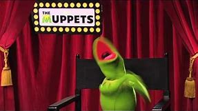 Yay! Kermit Arm Flail