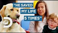 The Domestic Dogs That Save Lives Everyday! | Dogs: The Untold Story