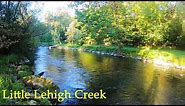 LITTLE Lehigh Creek - Stocked and Wild Trout Fishing