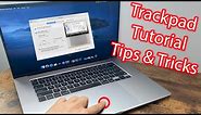 How To Use MacBook Pro Trackpad Tutorial - Force Click, Gestures, Tips