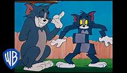 Tom & Jerry | The Best Cat Tom! | Classic Cartoon Compilation | WB Kids