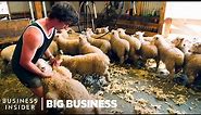 How NZ Farmers Shear 25,000 Sheep In 10 Days | Big Business