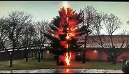 Lightning strike disintegrates tree outside Wisconsin high school