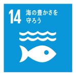 SDGs｜目標14 海の豊かさを守ろう｜プラスチックの量が魚を超える？