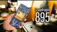 Snapdragon 895 - IT'S A BEAST