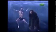 In water, Chimps will drown (Taco bell meme)