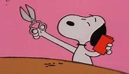 Snoopy and Woodstock Laugh Compilation