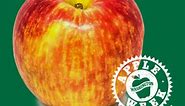 Crisp and distinctly sweet - the name... - Washington Apples