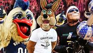 Who is Sir CC? Cleveland Cavaliers Mascot — NBAMascots.com