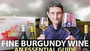 10-Minute Guide to Burgundy | Fine Wines from Bourgogne Part.#1