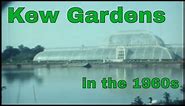 Kew Gardens in the 1960s: A Historic Film by Stuart J McKean
