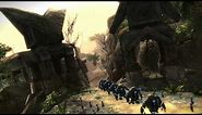Guild Wars 2 - The Races of Tyria