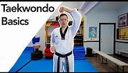 Taekwondo White Belt Basics👊