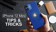 How to use iPhone 12 Mini + Tips/Tricks!