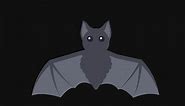 Download Animation of flying bat. Cartoon video on transparent background for free