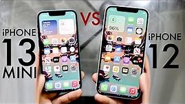 iPhone 13 Mini Vs iPhone 12! (Comparison) (Review)