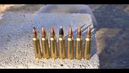 Whats The Best .223 Varmint Bullet?