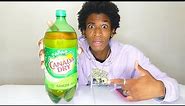 Fast Drinking 2 Liter Bottle of Canada Dry Ginger Ale