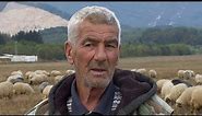 Zašto najpoznatiji ovčar s Vlašića prodaje svoje stado